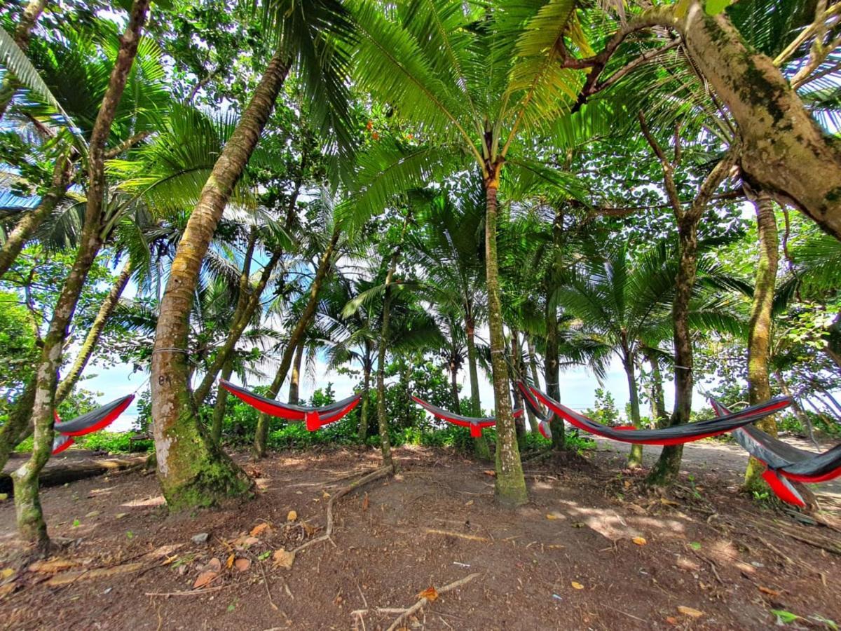 Caribbean View Leilighet Tortuguero Eksteriør bilde