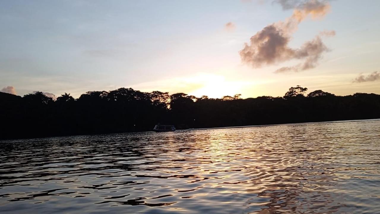 Caribbean View Leilighet Tortuguero Eksteriør bilde