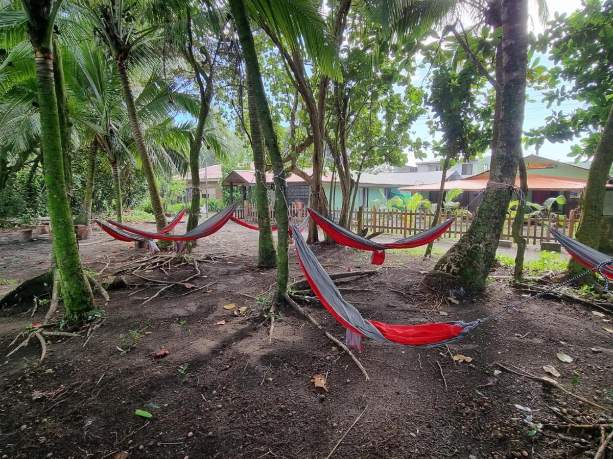 Caribbean View Leilighet Tortuguero Eksteriør bilde