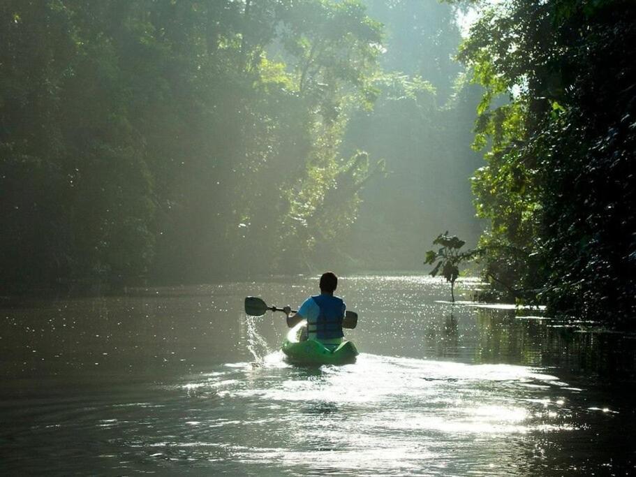 Caribbean View Leilighet Tortuguero Eksteriør bilde