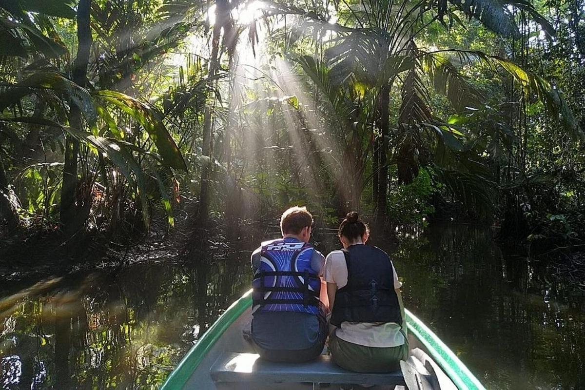 Caribbean View Leilighet Tortuguero Eksteriør bilde