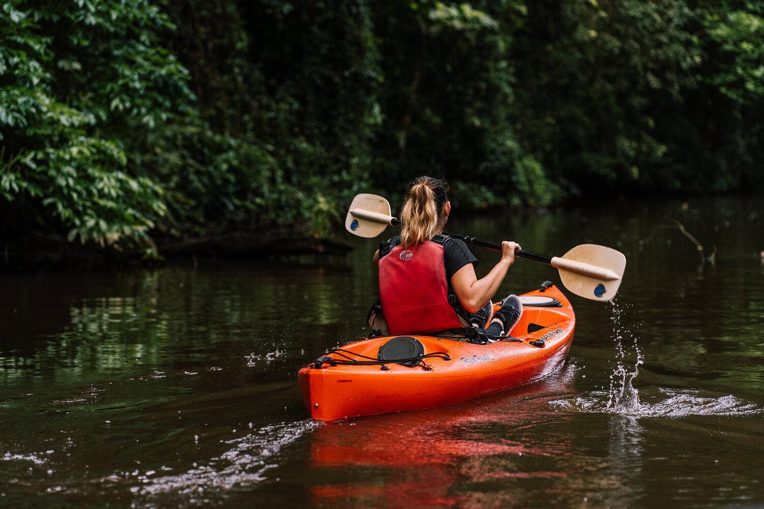 Caribbean View Leilighet Tortuguero Eksteriør bilde